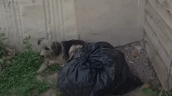 Left on the Doorstep